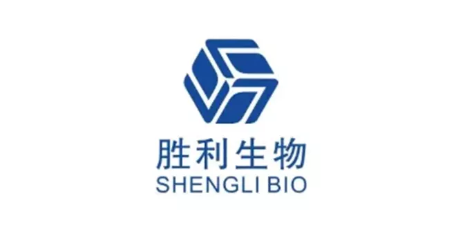 山东胜利.png